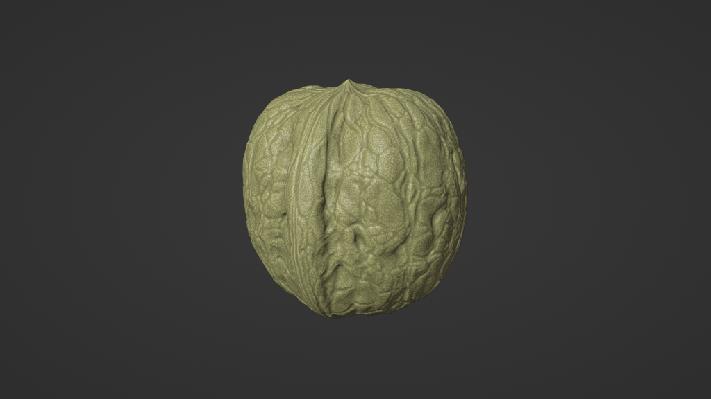 Walnut Macro 3D Scan
FlexScan3D