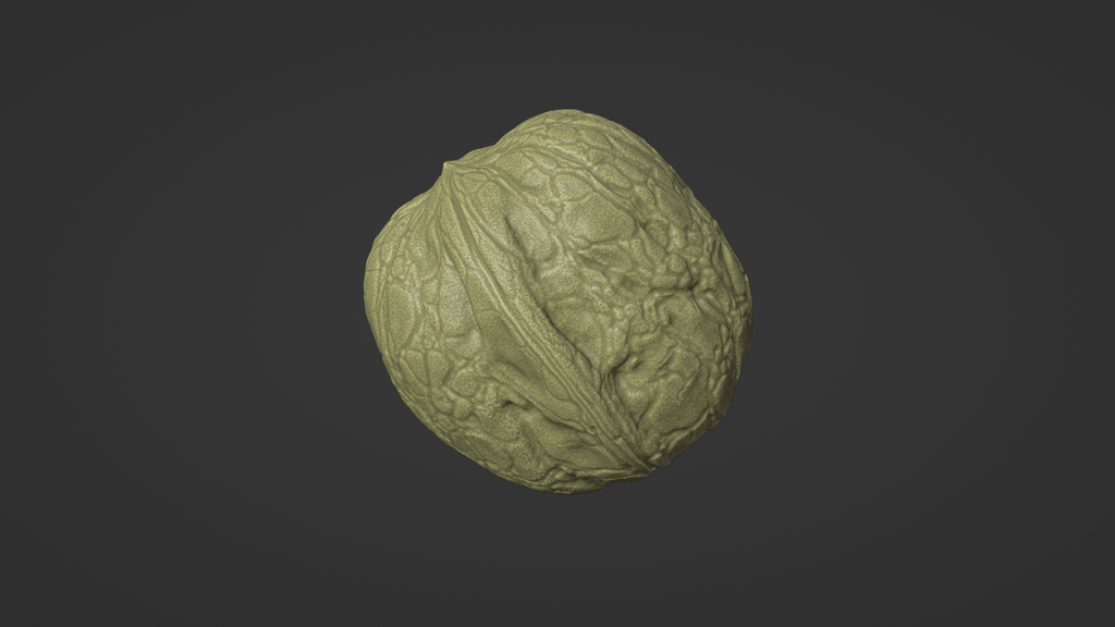 Walnut Macro 3D Scan
FlexScan3D