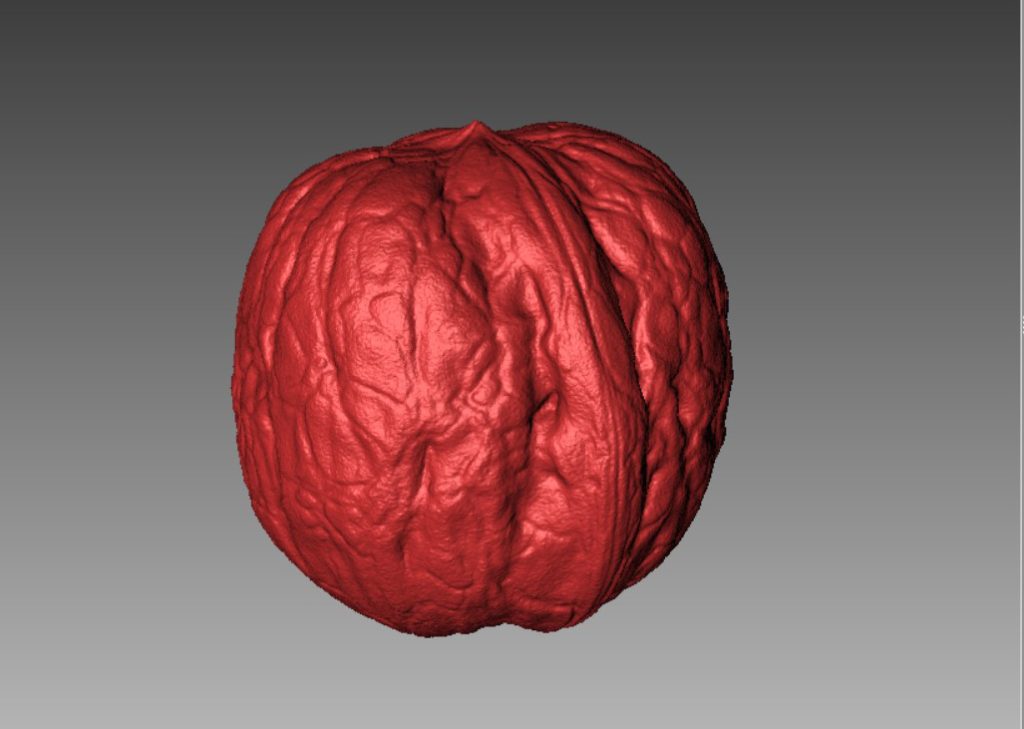 Walnut Macro 3D Scan
FlexScan3D