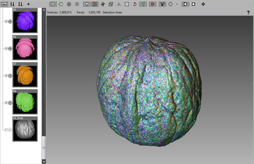 Walnut Macro 3D Scan
FlexScan3D